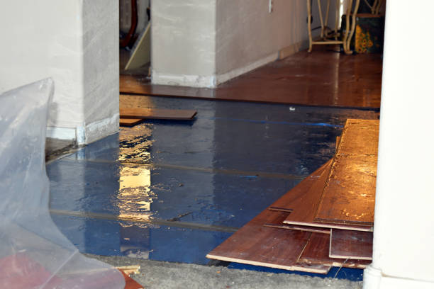 Professional Burst Pipe Water Damage technician working in Modoc, IL